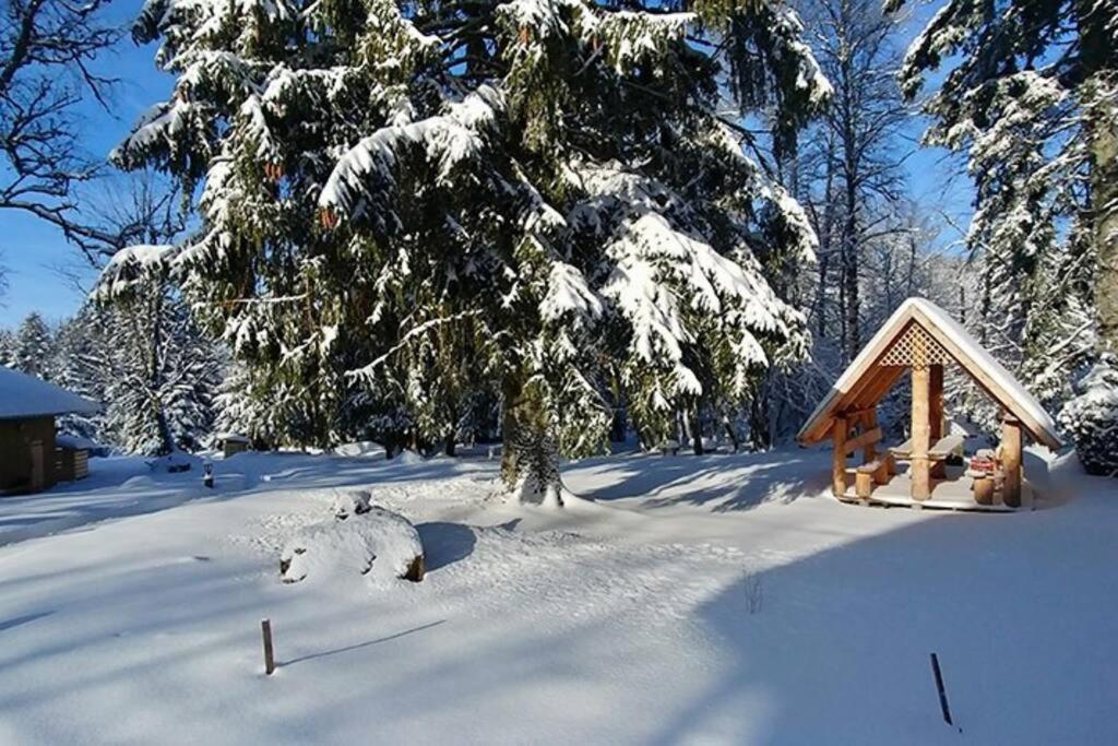 Le Petit Loup, Appartement Neuf Avec Jardin Gerbépal Esterno foto